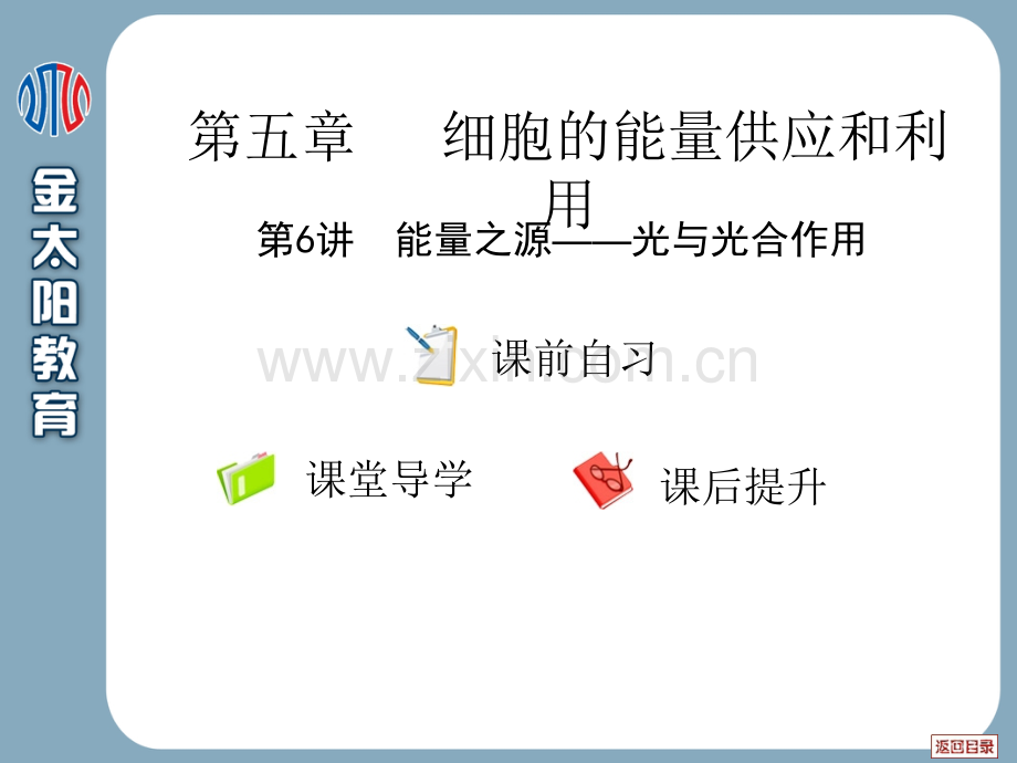 细胞的能量供应和利用能量之源——光与光合作用.pptx_第2页