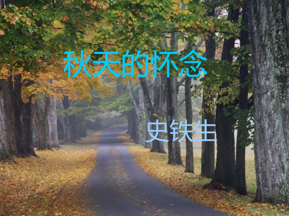 秋天的怀念史铁生课件.pptx_第1页