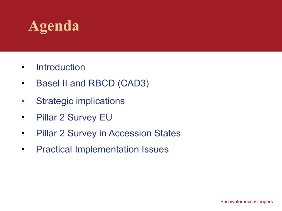 普华永道.pptx_第2页