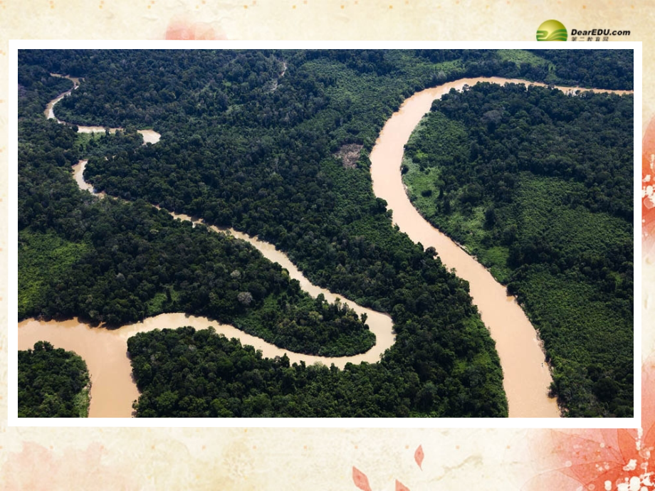 高中地理森林开发和保护以亚马孙热带雨林为例新人教版必修.pptx_第2页