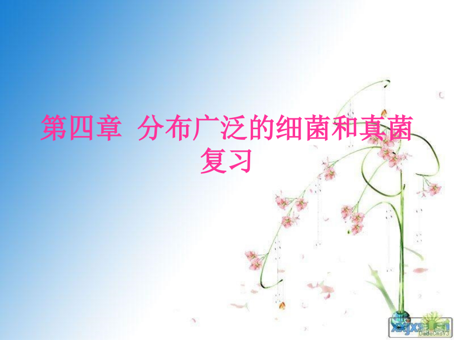 细菌和真菌试题.pptx_第1页