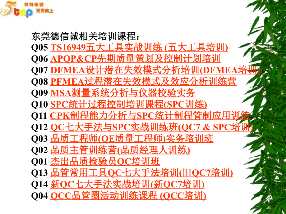 企业核心竞争力与运营管理.pptx_第2页