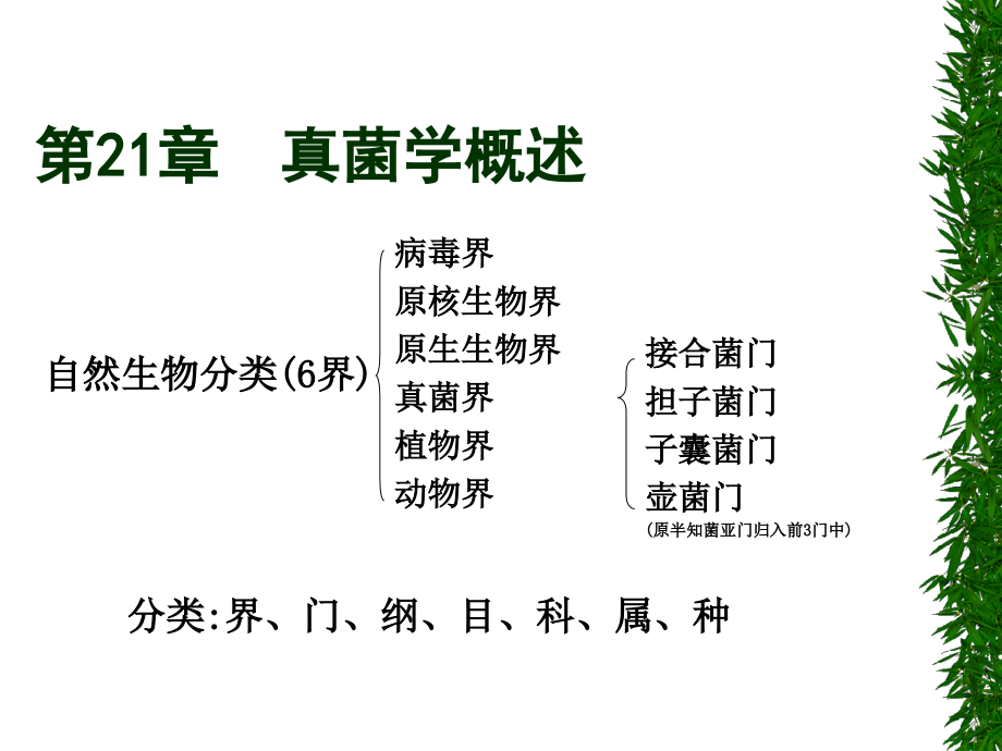 25真菌学概论.pptx_第2页