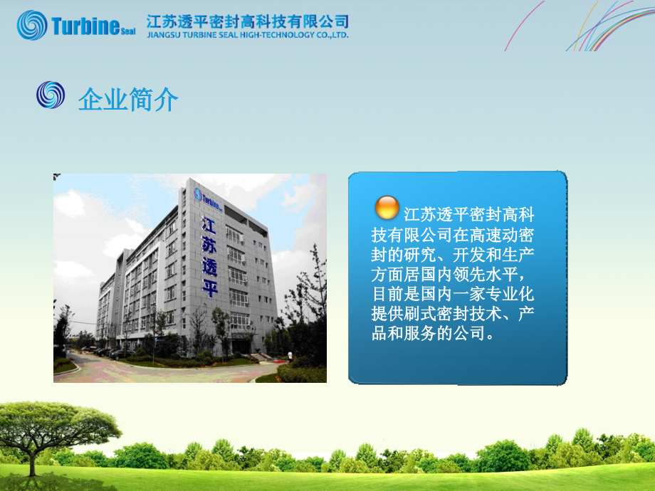 刷式汽封技术介绍.pptx_第1页