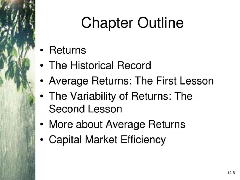 公司理财第十二章.pptx_第2页