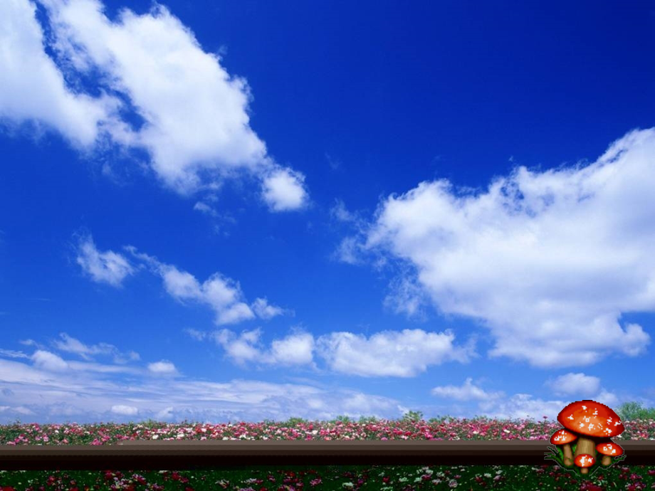 初中化学物质反应后成分探究.pptx_第1页