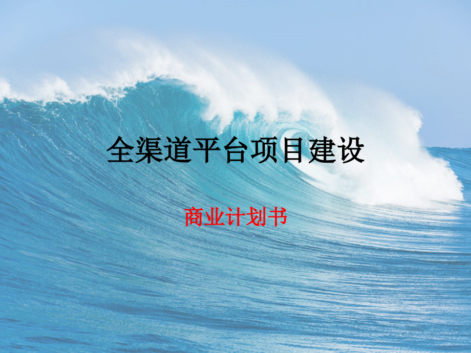 全渠道平台项目建设商业计划书.pptx_第1页