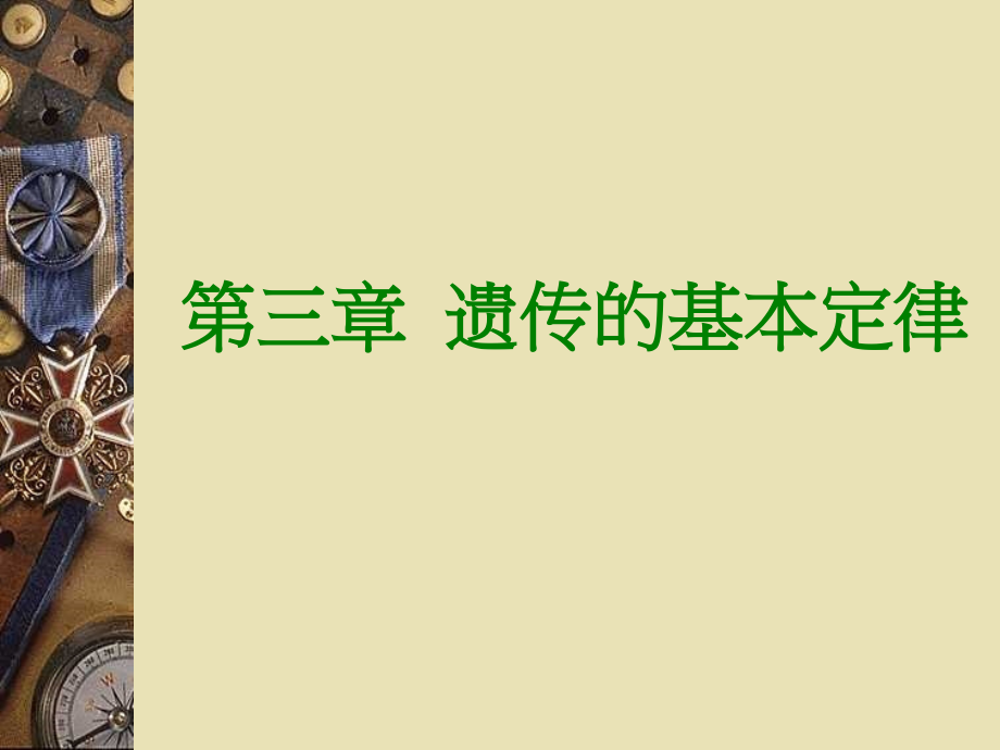 孟德尔遗传规律.pptx_第1页