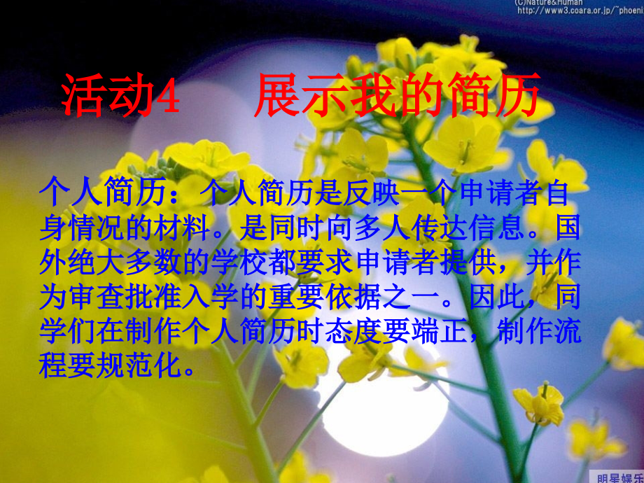 信息技术活动4——展示我的简历.pptx_第2页