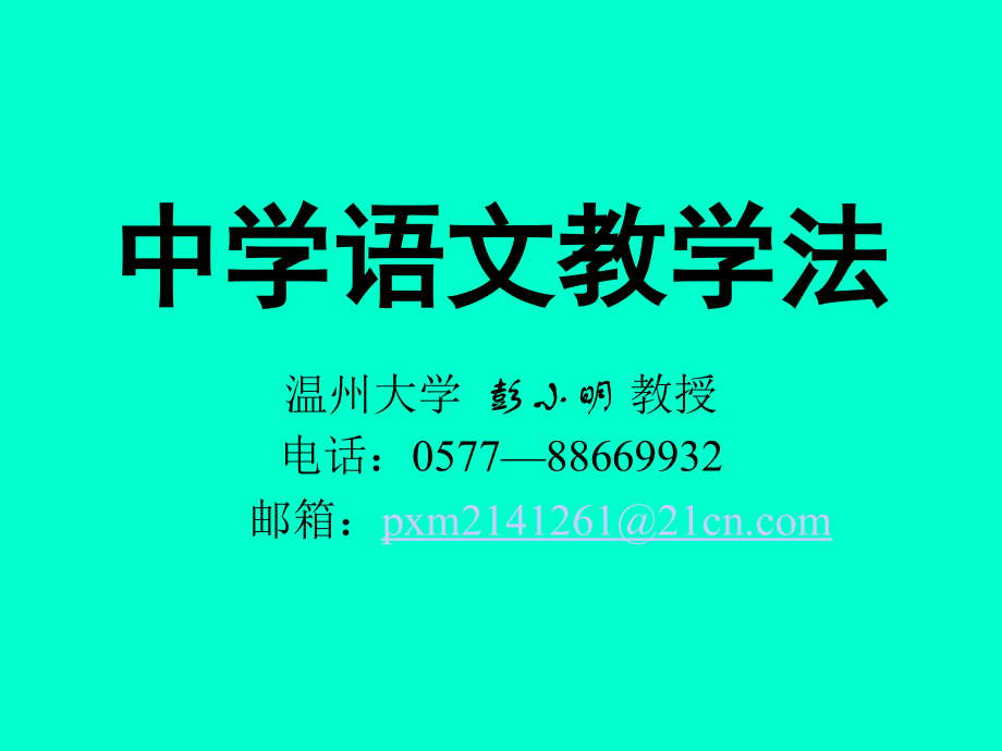 中学语文教学法.pptx_第1页