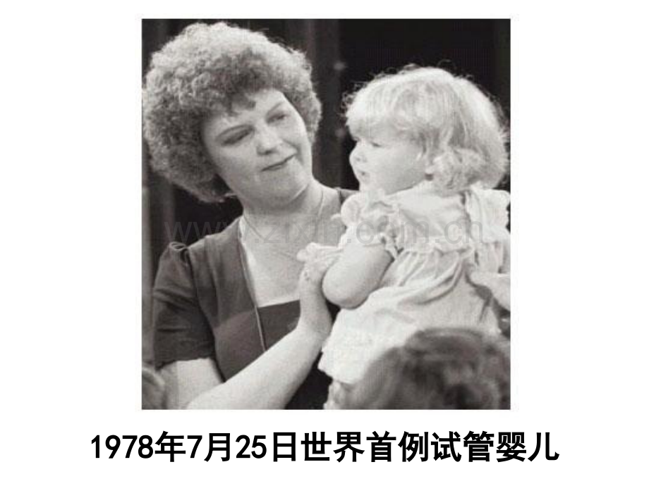 体外受精和早期胚胎培养51269.pptx_第2页