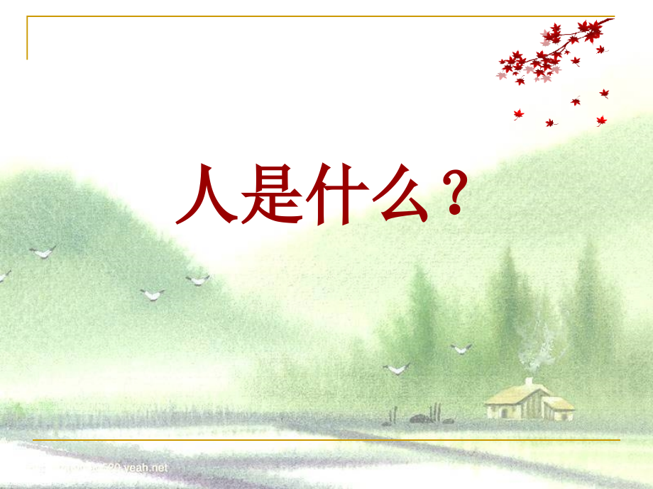 人是一根能思想的苇草公开课课件.pptx_第1页