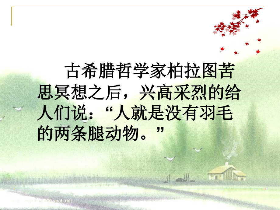 人是一根能思想的苇草公开课课件.pptx_第2页