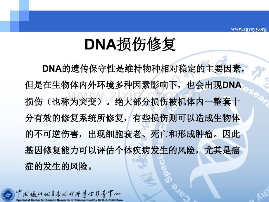 位点介绍傅咏南.pptx_第1页