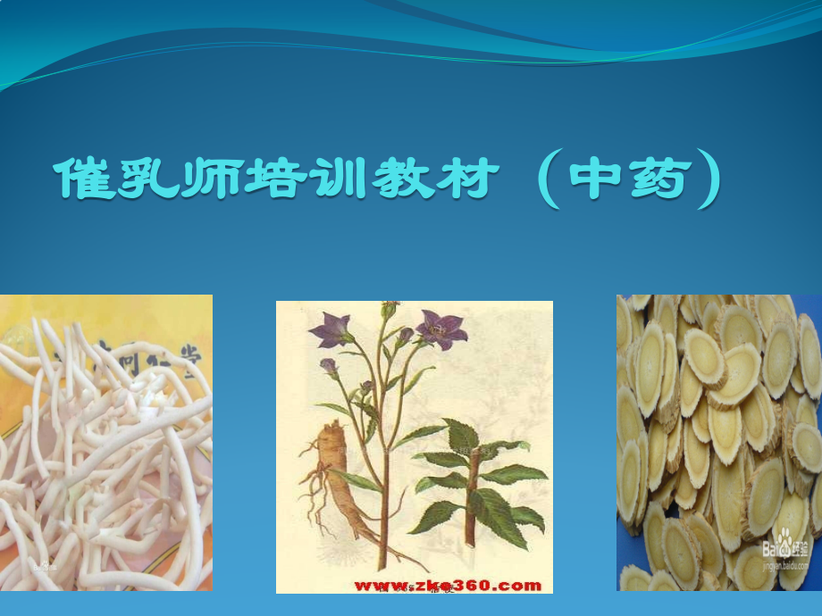 催乳师常用中药12.pptx_第1页