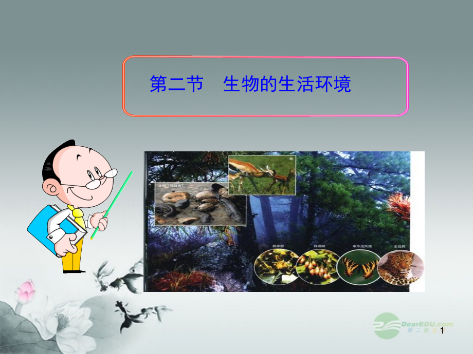 七年级生物生物的生活环境济南版.pptx_第1页