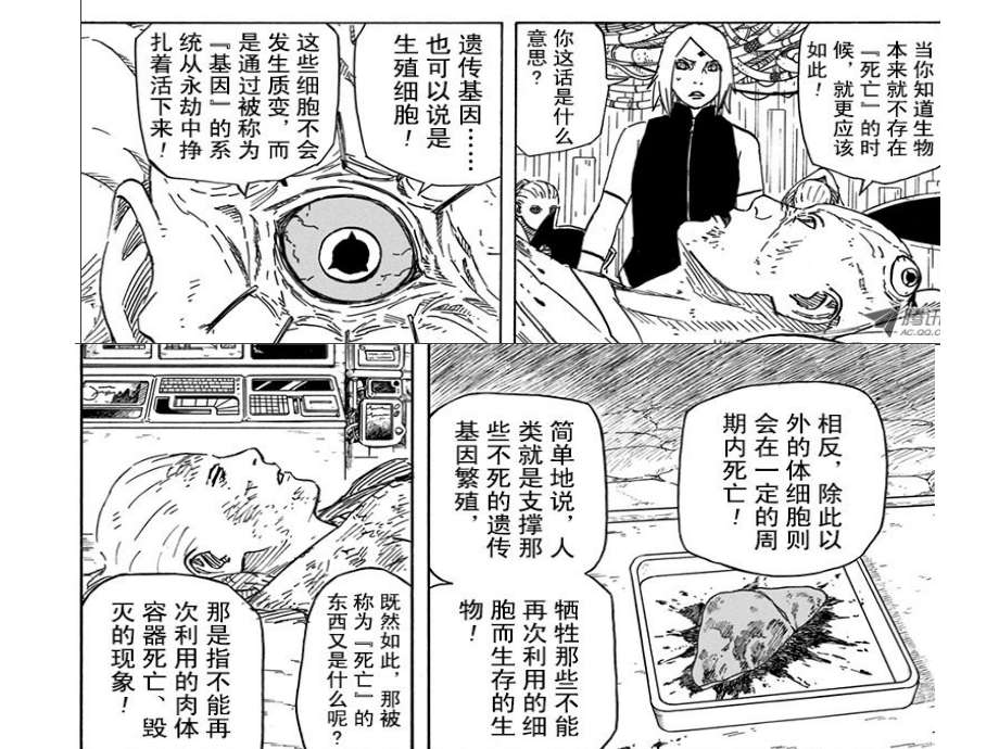 性染色体与伴性遗传课件.pptx_第2页