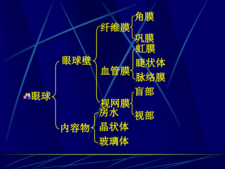 三感觉器官.pptx_第1页