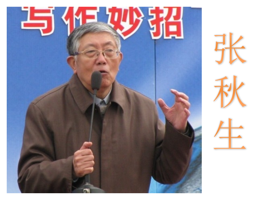 张秋生一朵红玫瑰教学.pptx_第1页