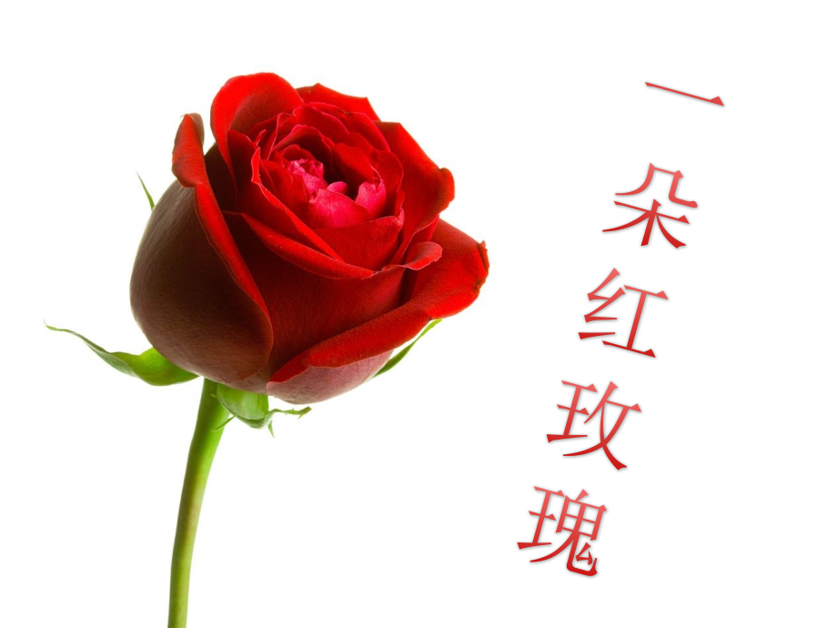 张秋生一朵红玫瑰教学.pptx_第2页