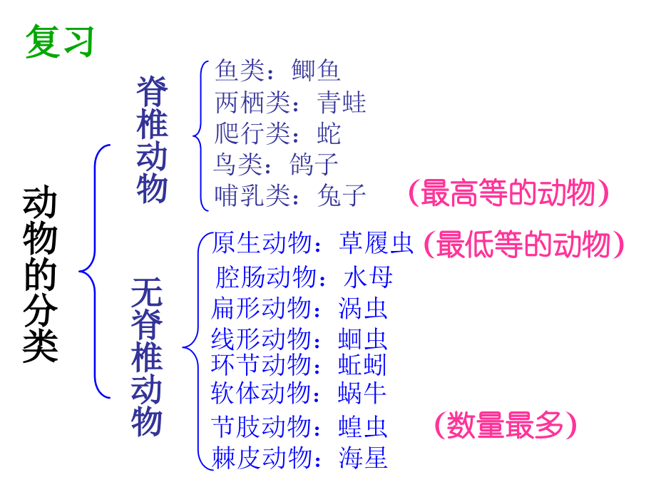 常见的植物ppt课件.pptx_第2页