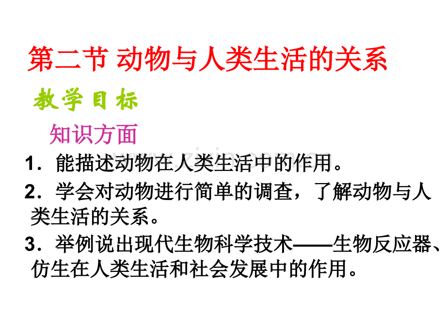 动物与人类生活的关系概要.pptx_第1页