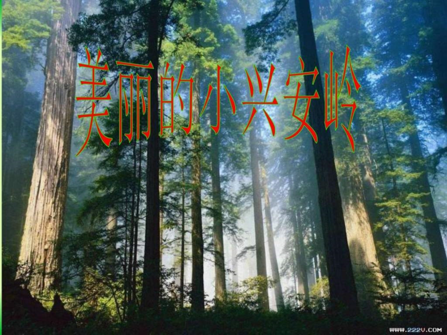 三年级语文上册23课美丽的小兴安岭.pptx_第1页