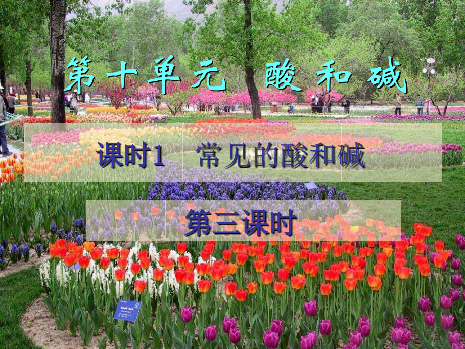 九年级化学下册常见的酸和碱时教学课件新人教版.pptx_第1页