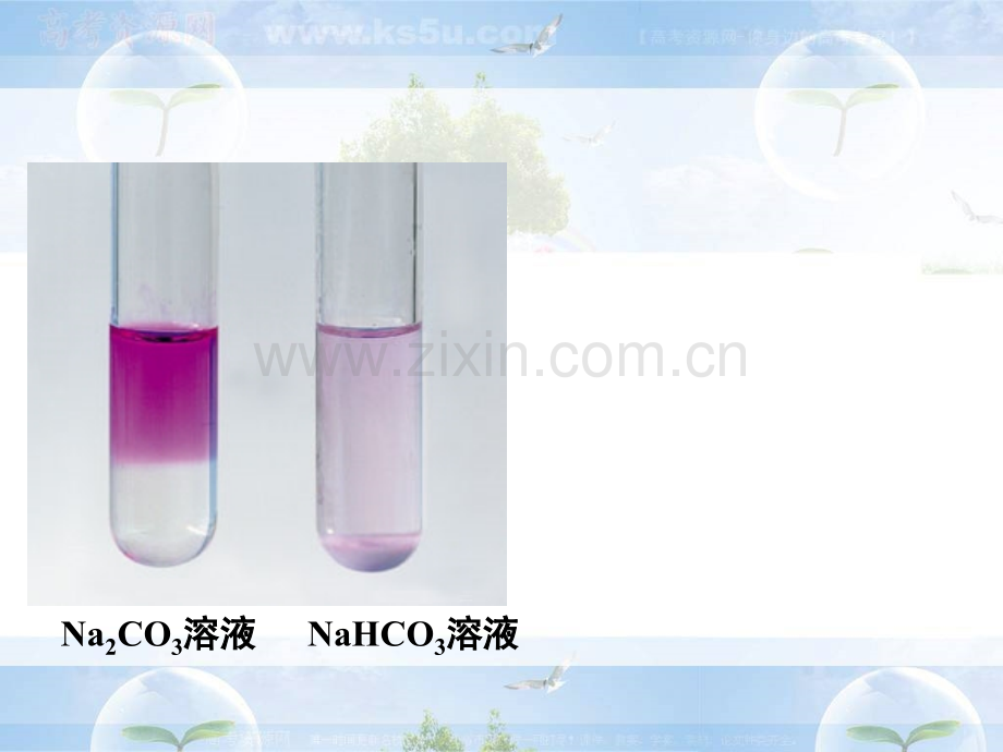优质课盐类的水解.pptx_第1页