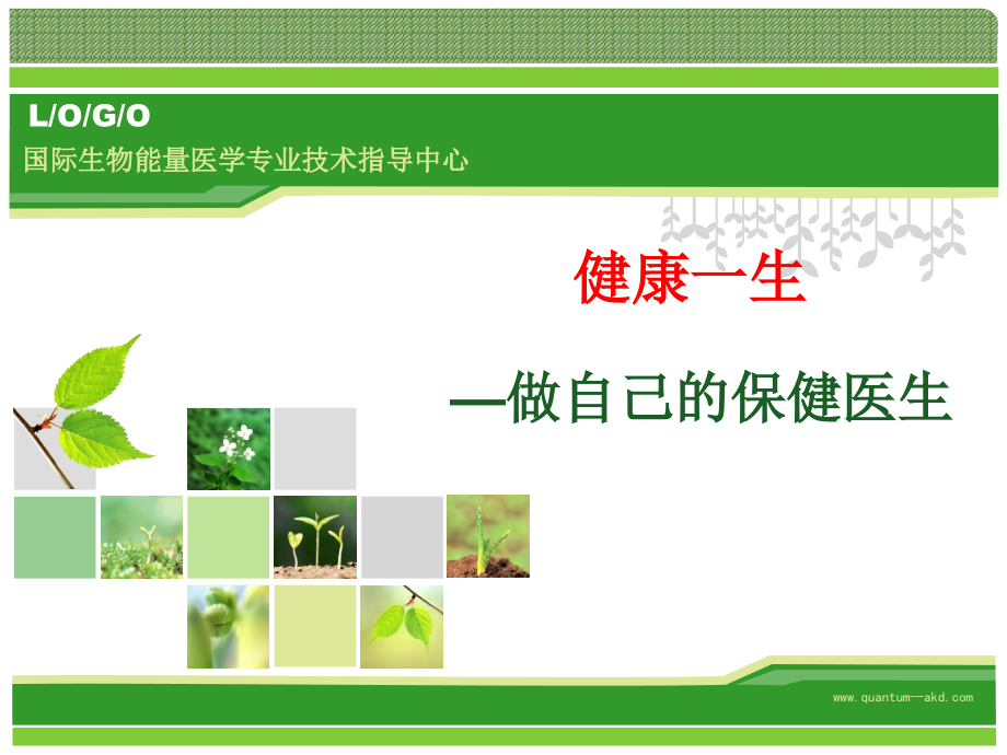 健康七大支柱.pptx_第1页