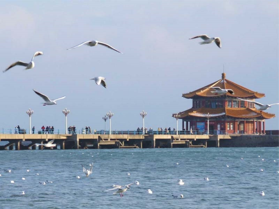 三年级语文学会查无字词典.pptx_第2页