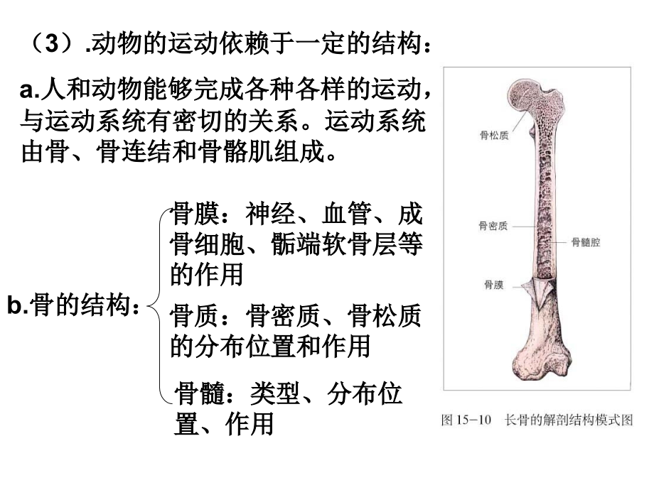 八年级上册相关知识点.pptx_第2页