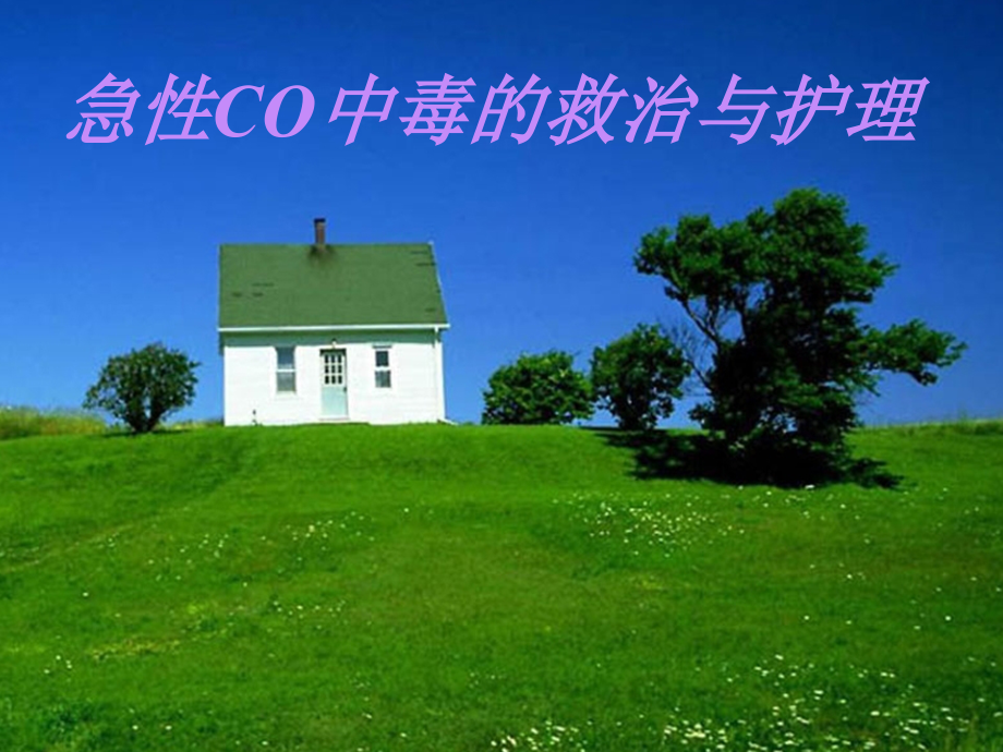 急性CO中毒的急救与护理.pptx_第1页