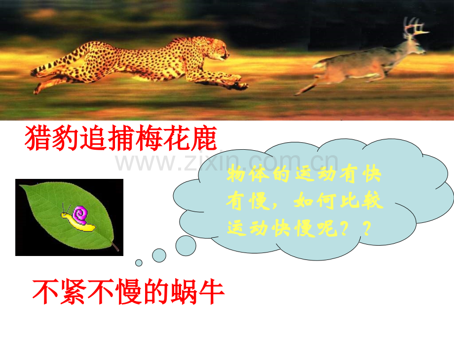 八年级物理速3.pptx_第1页