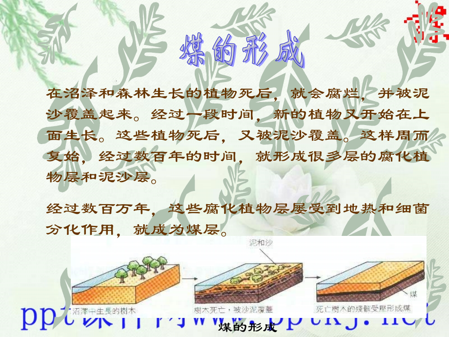 化学燃料的利用.pptx_第2页