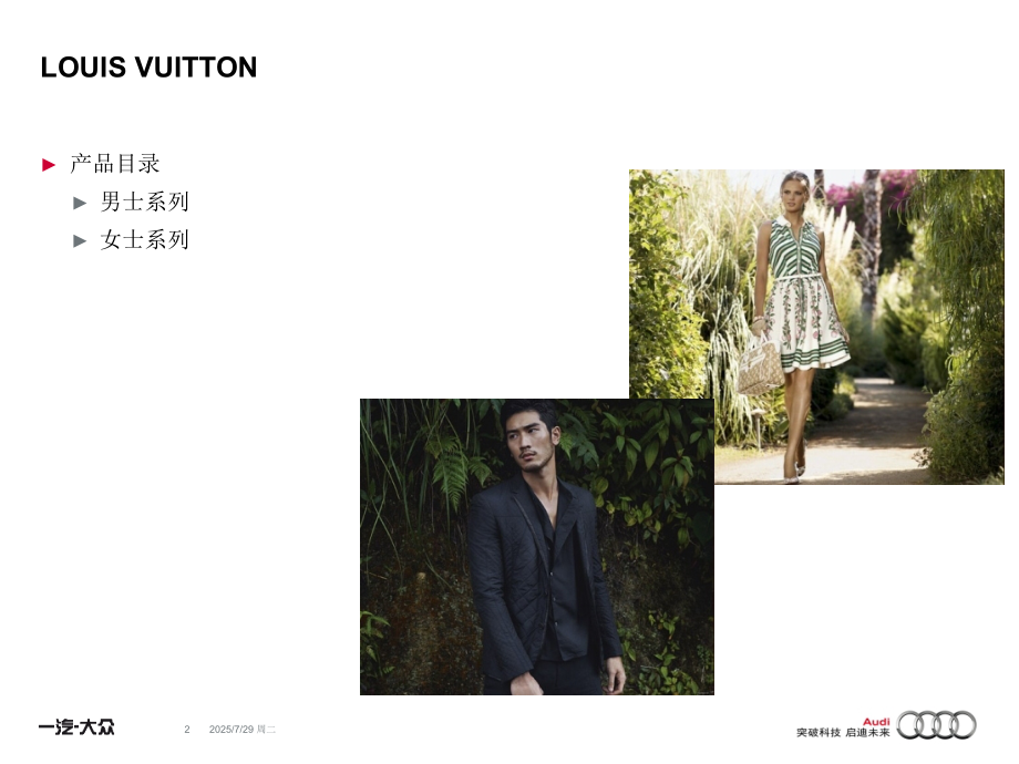 LV产品介绍.pptx_第2页