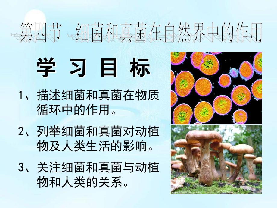 人教版八年级生物上册课件：5.4.4《细菌和真菌在自然界中的作用》(共23张PPT)医学PPT课件.ppt_第1页