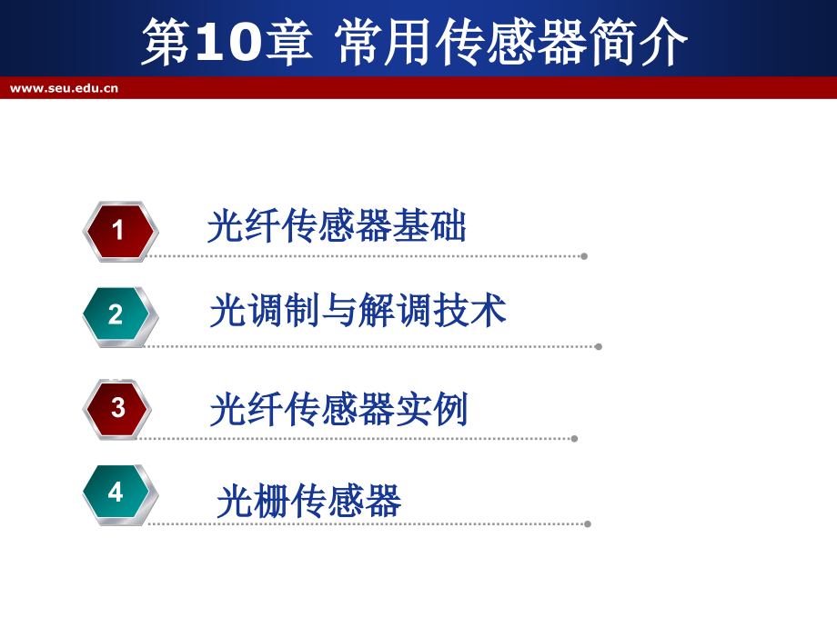 光纤血流计.pptx_第2页