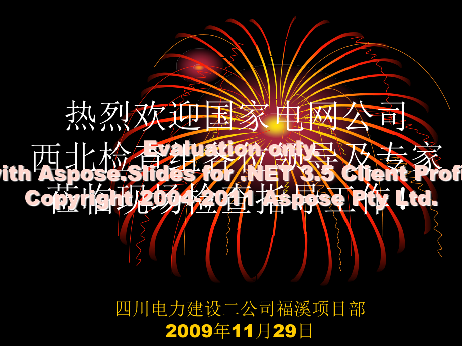 国家电网专项检查汇报材料.pptx_第1页
