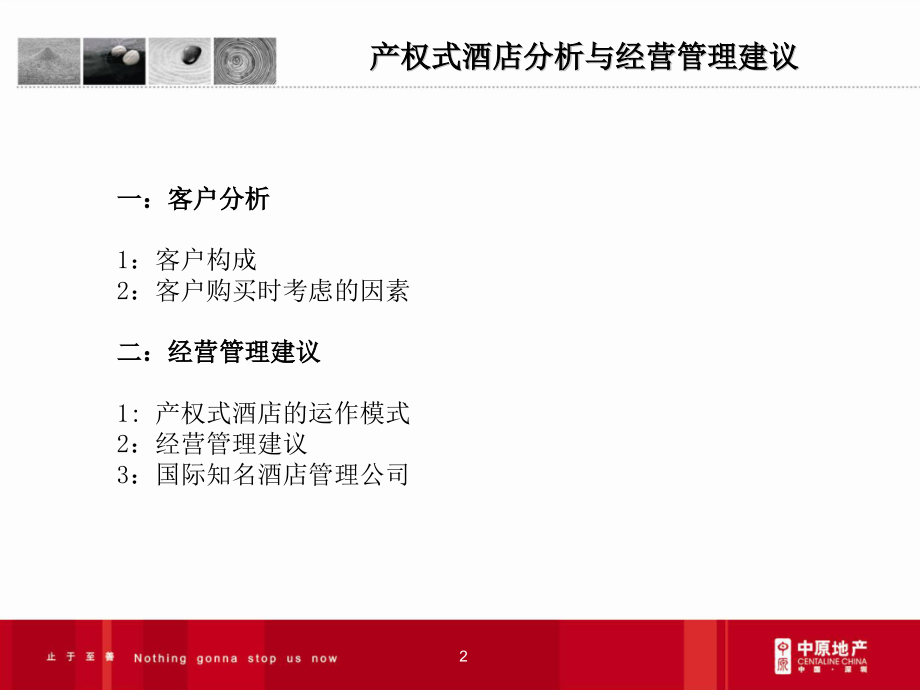 产权式酒店客户分析与经营管理建议中原地产.pptx_第2页