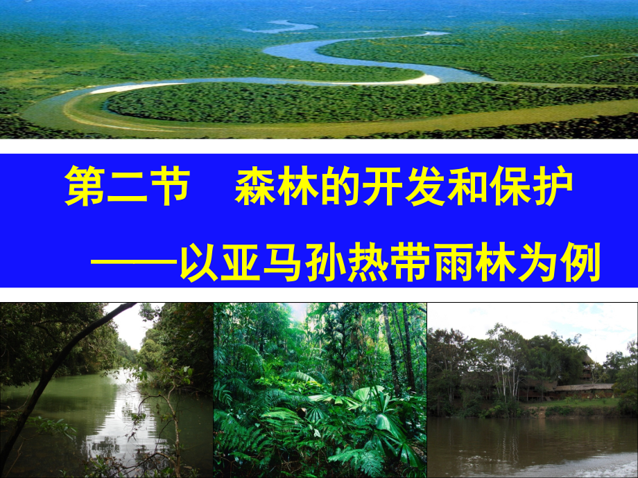 森林的开发与保护.pptx_第1页