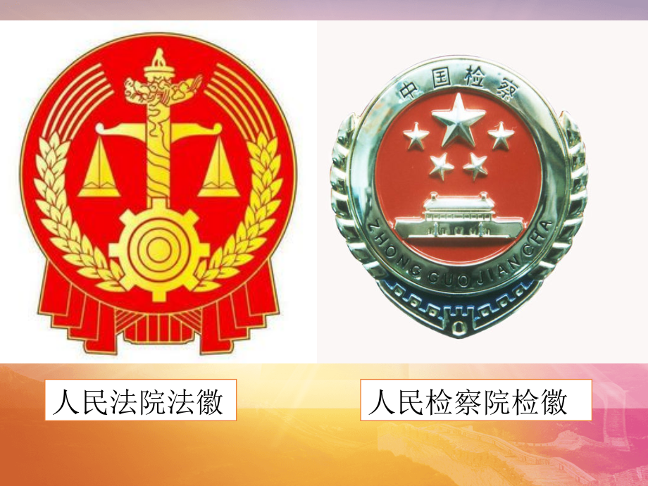 63国家司法机关.pptx_第1页