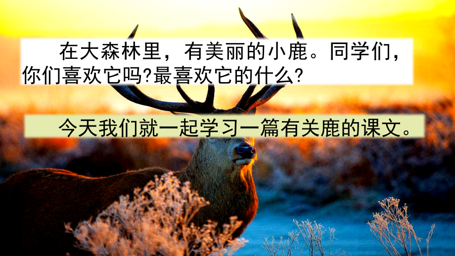 7鹿角和鹿腿.pptx_第2页