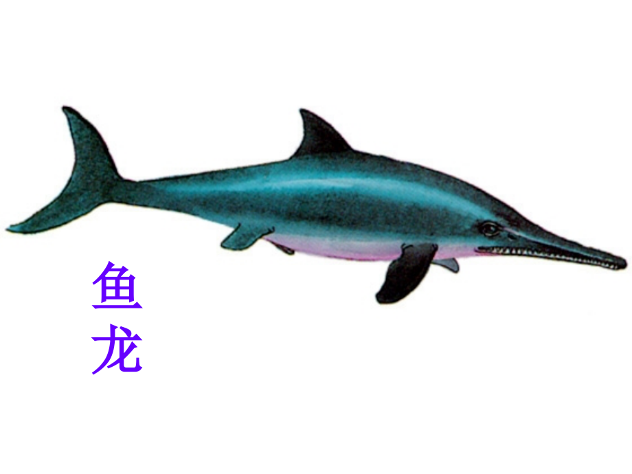 恐龙在我们头上飞.pptx_第2页