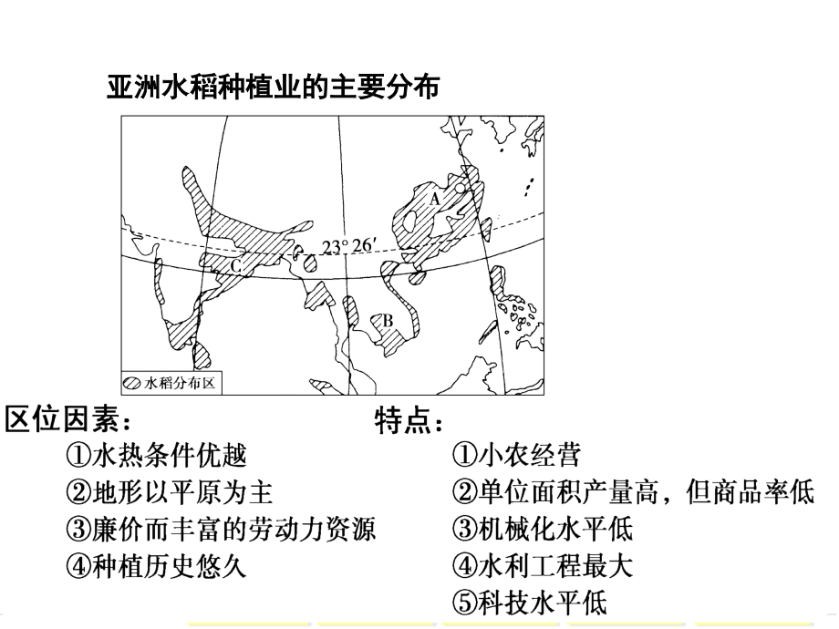 主要的农业地域类型.pptx_第2页