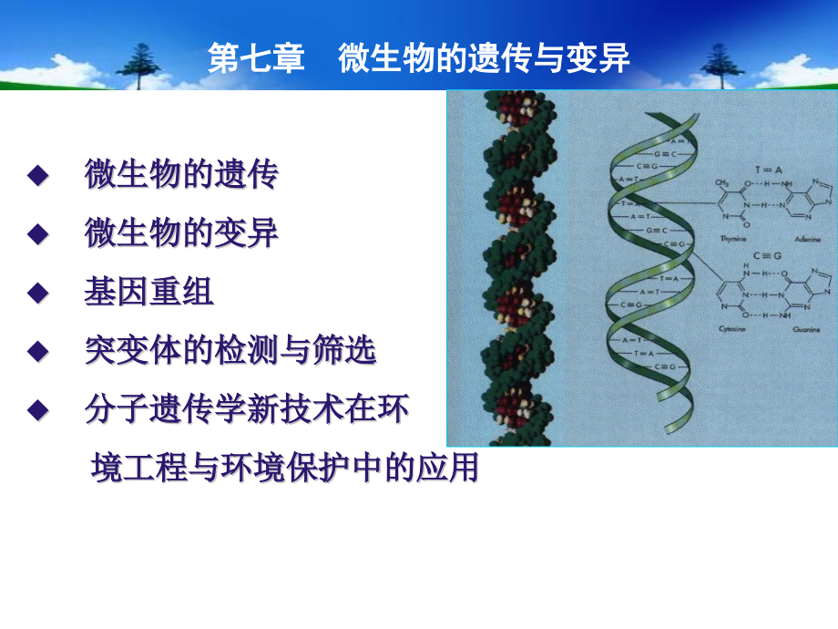 全国1月高等教育自学考试物理工试题.pptx_第1页