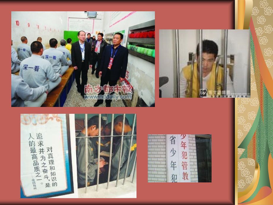 做一名守法守纪的好公民.pptx_第2页
