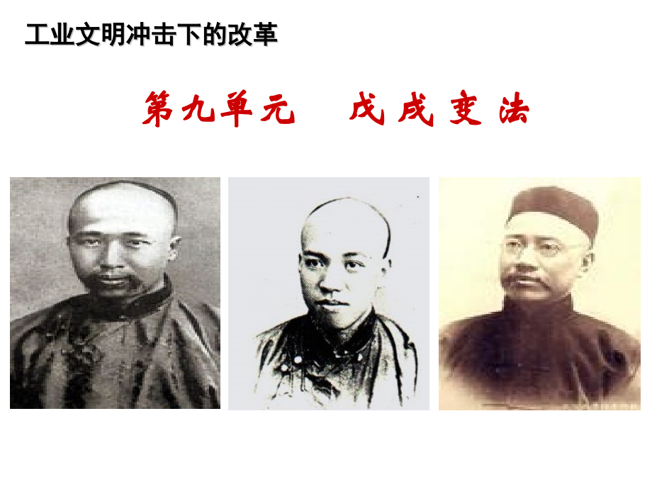 戊戌变法精编案例.pptx_第1页