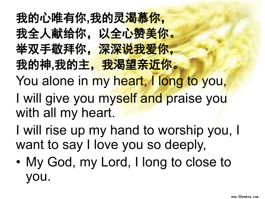 充满我fillmeLord中英文.pptx_第2页