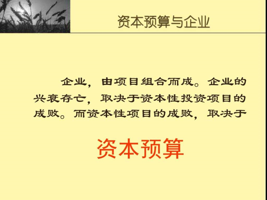 公司理财资本预算方法图文.pptx_第1页